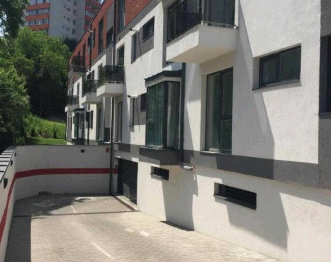 Lily Central Apartment With Free Parking Târgu-Mureş エクステリア 写真