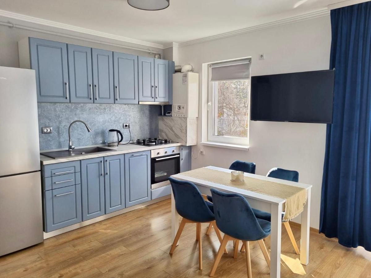 Lily Central Apartment With Free Parking Târgu-Mureş エクステリア 写真